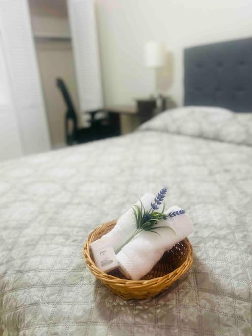 Vintage Family Scape + Heated Pool&Discount Villa Tampa Bagian luar foto