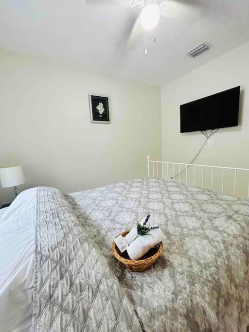 Vintage Family Scape + Heated Pool&Discount Villa Tampa Bagian luar foto