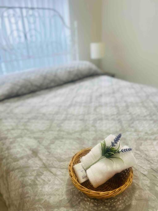 Vintage Family Scape + Heated Pool&Discount Villa Tampa Bagian luar foto